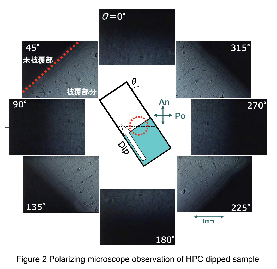 Figure 2 Polarizing microscope observation of HPC dipped sample