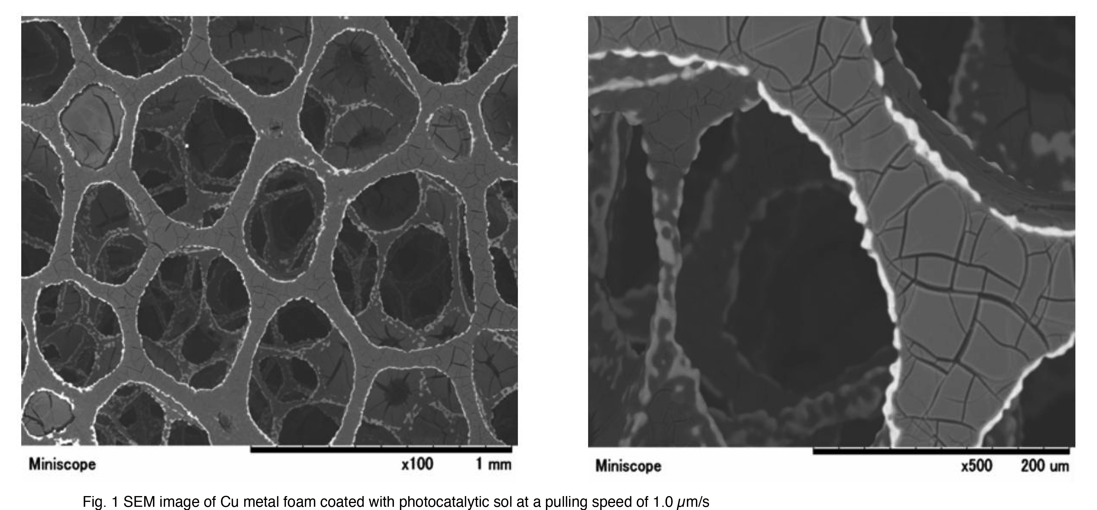 Fig. 1 SEM image of Cu metal foam coated with photocatalytic sol at a pulling speed of 1.0 μm/s