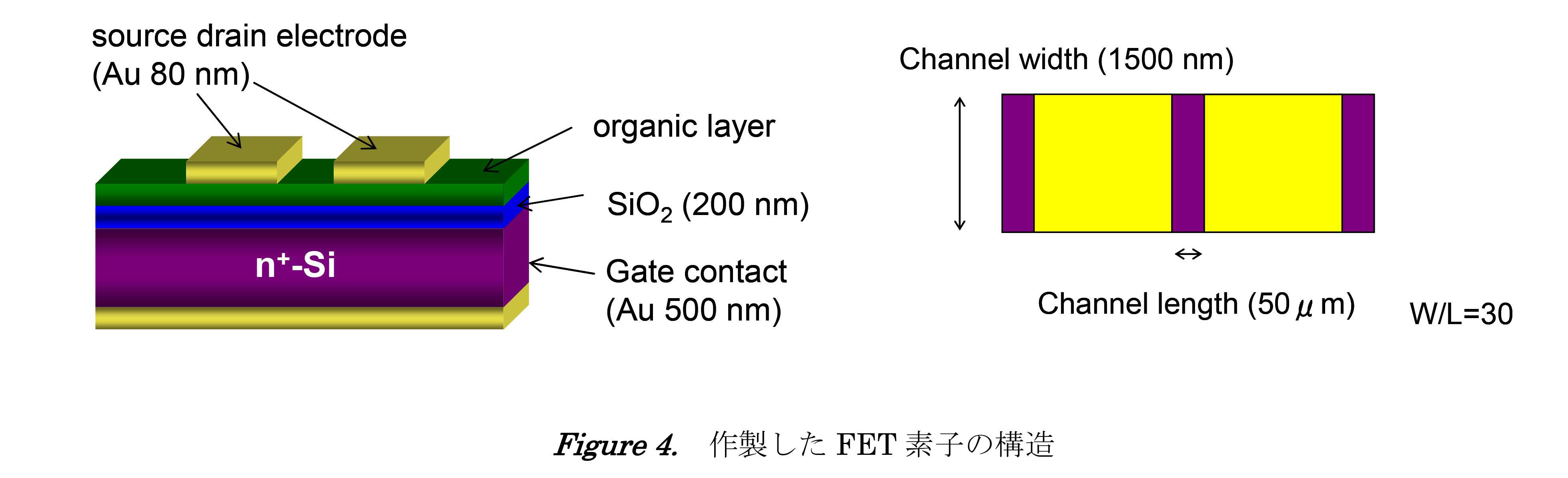 Figure 4. 作製したFET 素子の構造