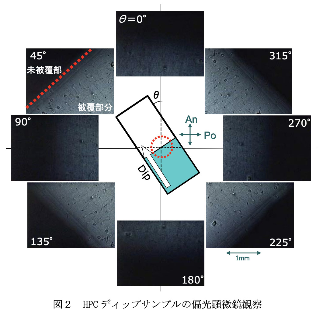 図2 HPC ディップサンプルの偏光顕微鏡観察