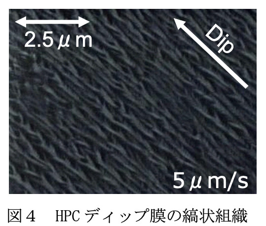 図4 HPC ディップ膜の縞状組織