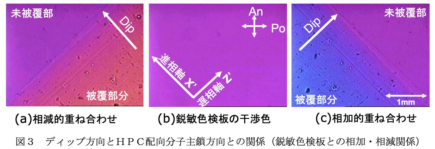図3 ディップ方向とHPC配向分子主鎖方向との関係 (鋭敏色検板との相加・相減関係)