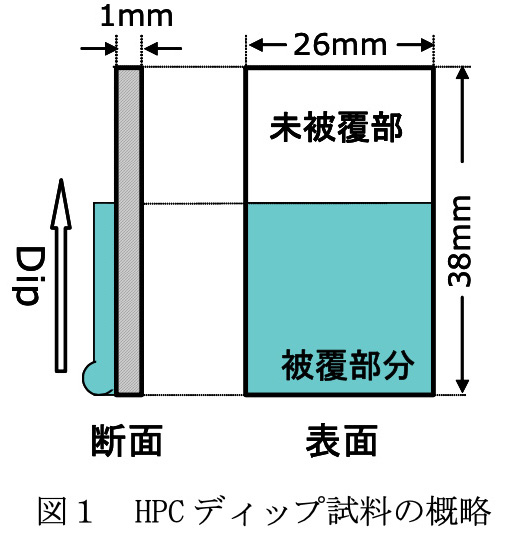 図 1 HPC ディップ試料の概略