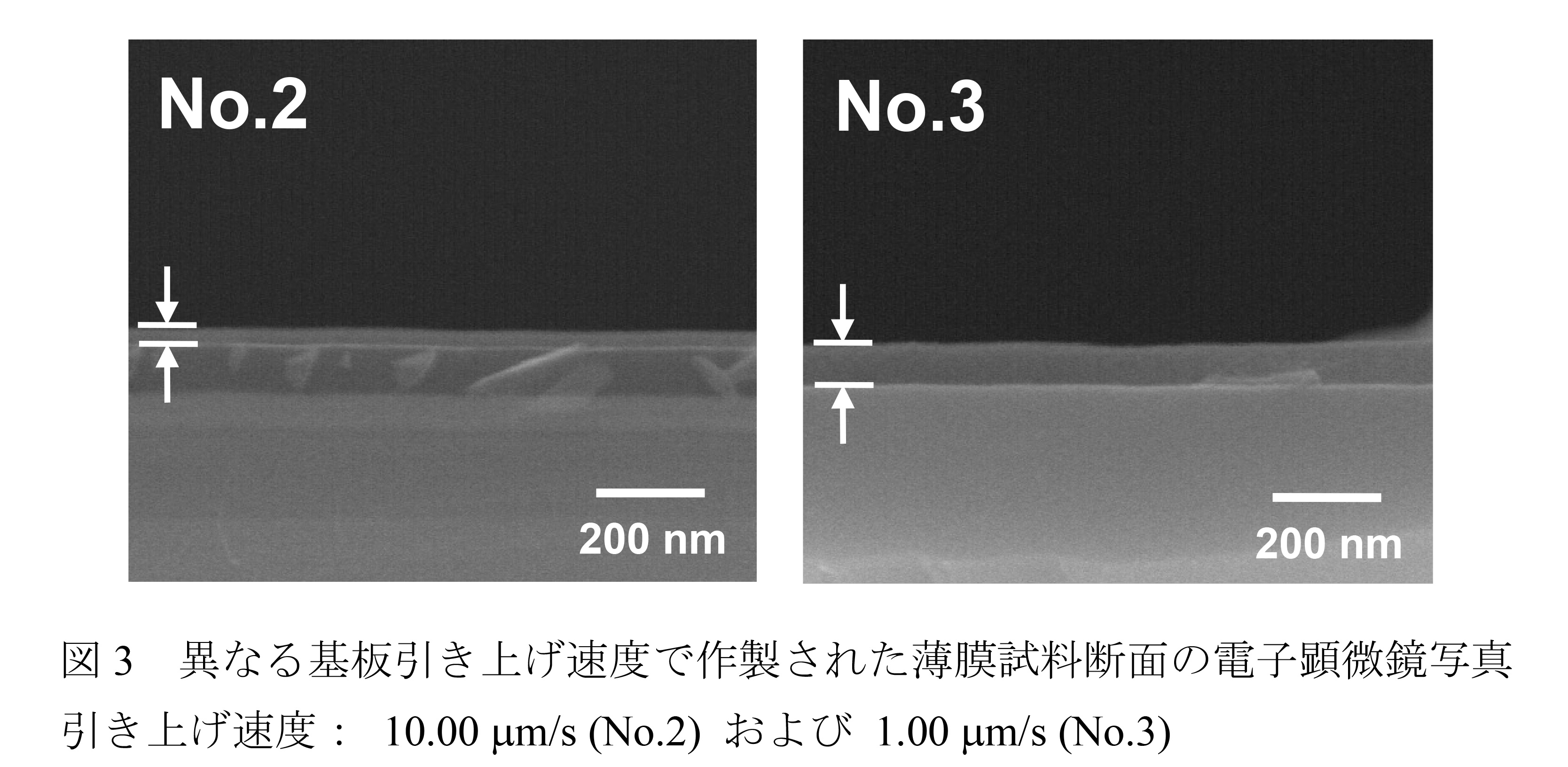 図 3 異なる基板引き上げ速度で作製された薄膜試料断面の電子顕微鏡写真