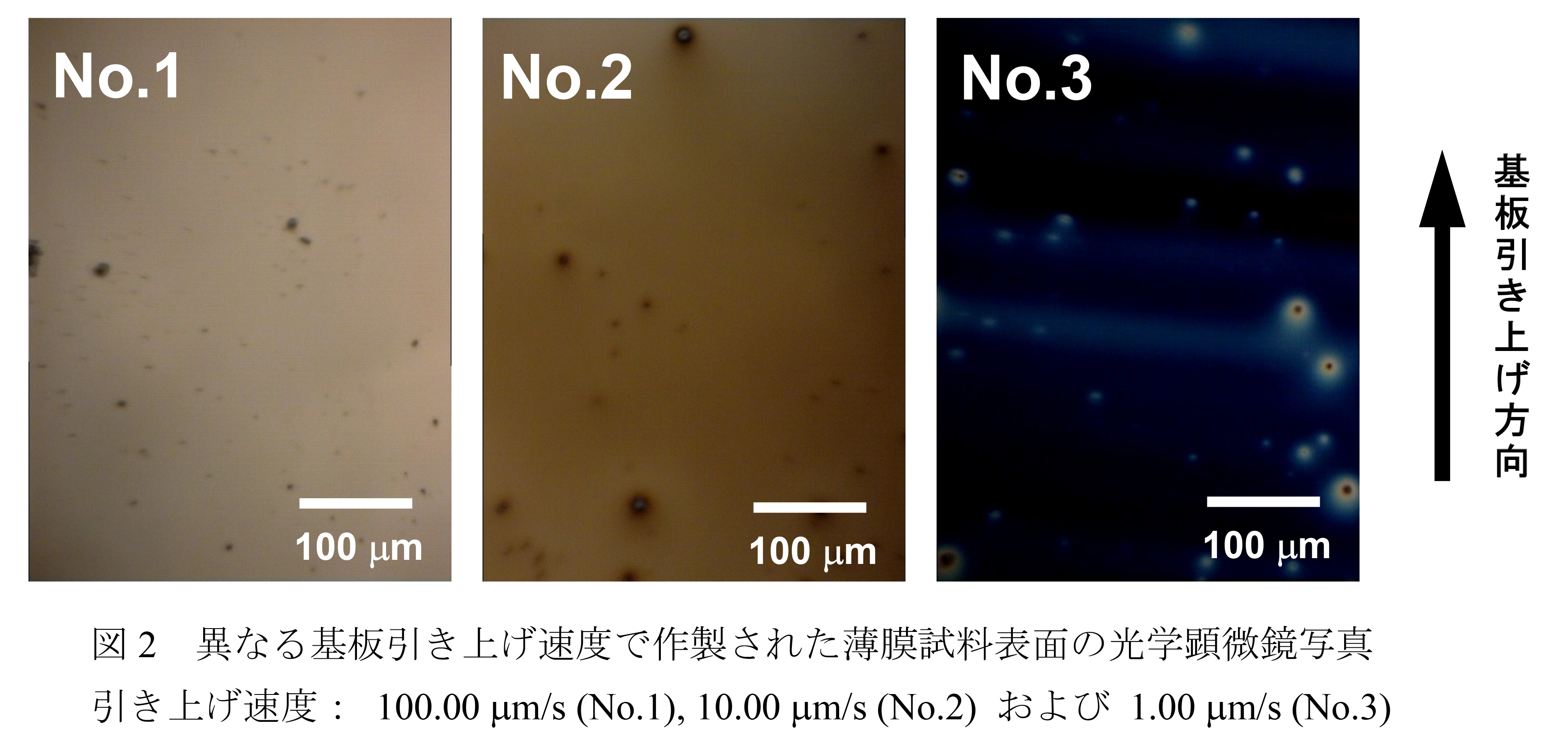 図 2 異なる基板引き上げ速度で作製された薄膜試料表面の光学顕微鏡写真
