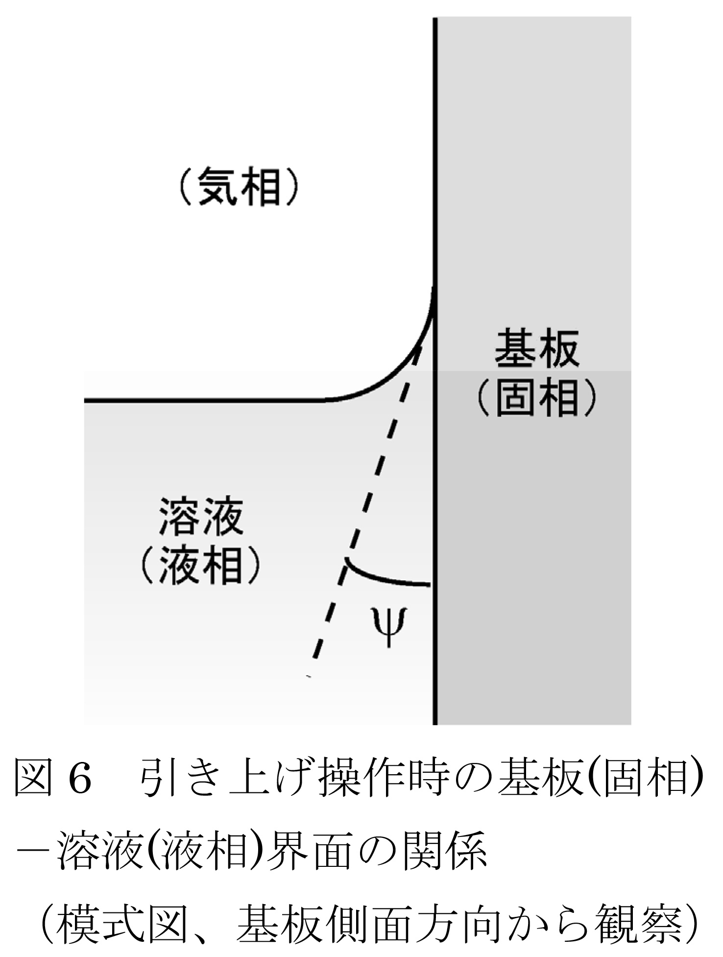 引き上げ操作時の基板(固相)