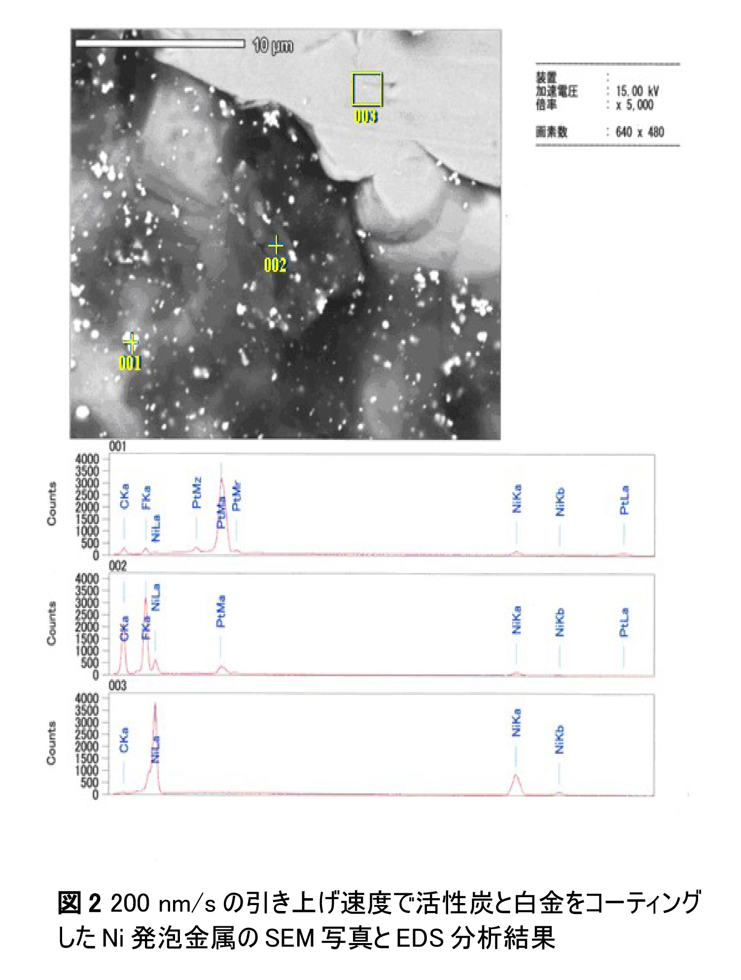 図 2 200 nm/s の引き上げ速度で活性炭と白金をコーティング したNi発泡金属のSEM写真とEDS分析結果