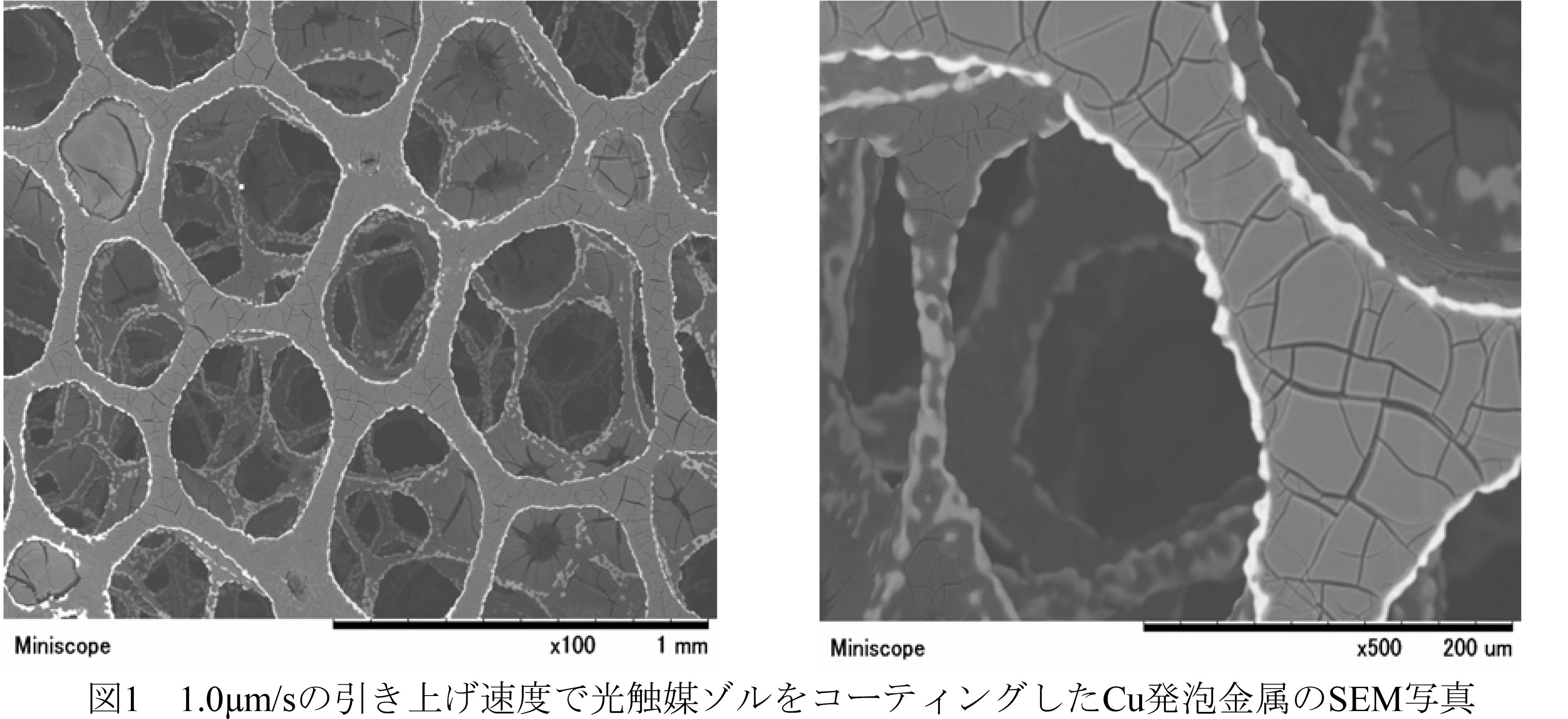 図1 1.0μm/sの引き上げ速度で光触媒ゾルをコーティングしたCu発泡金属のSEM写真